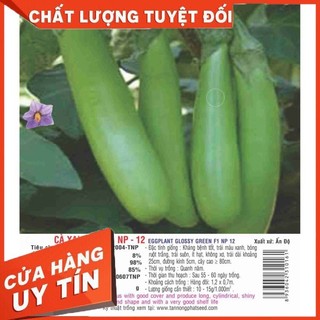 Hạt giống cà xanh mỡ (1G)