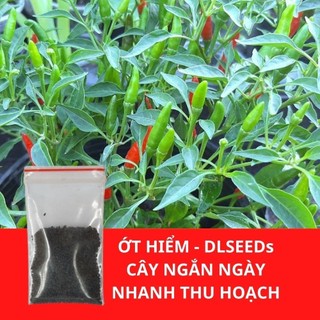 Hạt giống ớt hiểm F1 NP 707 (0.2G)