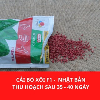 Hạt giống Cải bó xôi F1 Nhật 1gram  hạt giống có tính kháng bệnh tốt thời gian sinh trưởng nhanh thu hoạch sau 35 ngày