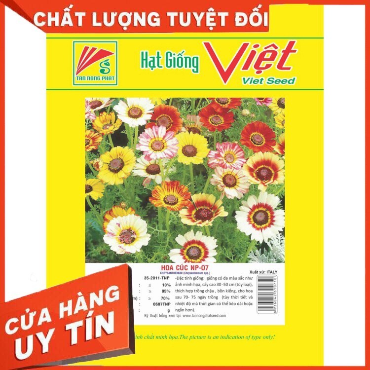 Hạt giống hoa cúc
