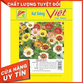 Hạt giống hoa cúc