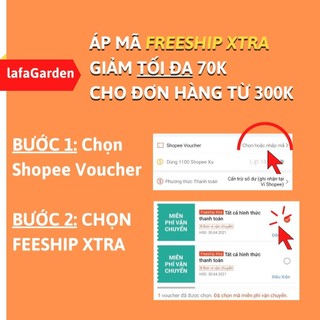 Hạt giống cà chua cherry đỏ (0.1G#lafa
