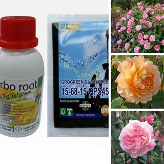 Phân bón ra hoa cho cây trồng, Bộ 2 sản phẩm phân bón NPK dạng GEL gói 200gr và turbo root chai 100ml