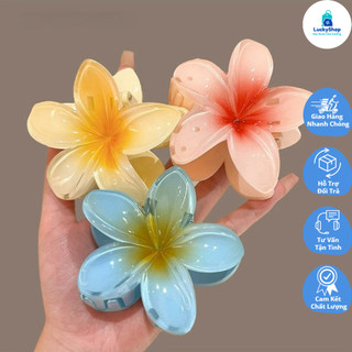 HMD0383 Kẹp Tóc Hình Bông Hoa Sứ Xinh Xắn Cho Các Chị Em
