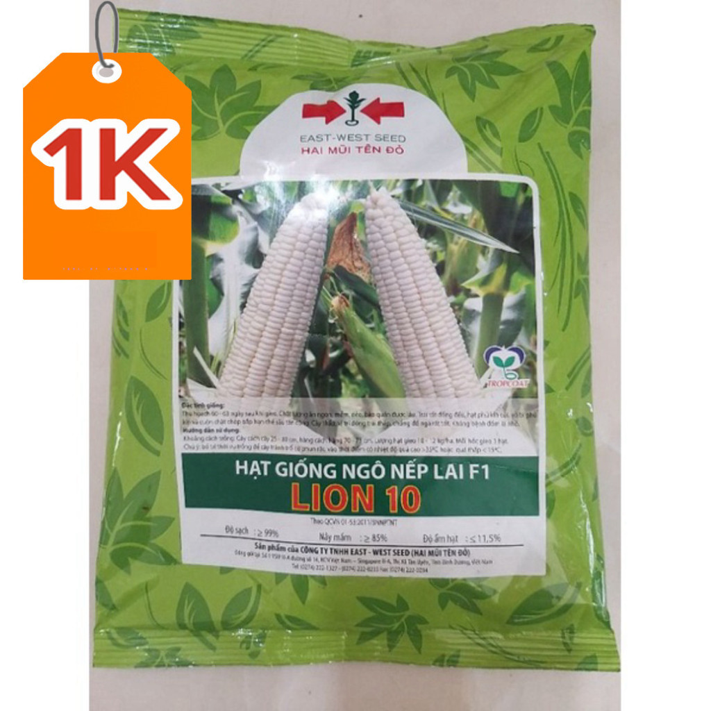 Hạt giống bắp nếp lai F1 Lion 10  Hai Mũi Tên Đỏ gói 500g