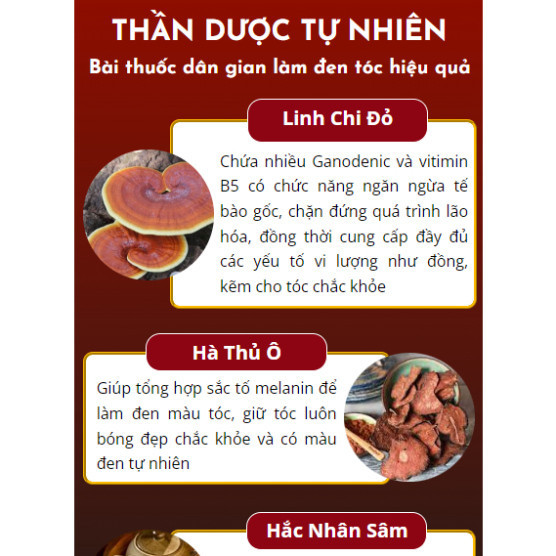 Tinh chất linh chị xịt đen tóc AKINO - Xịt đen tóc AKINO giúp phủ bạc, nuôi tóc đen, dày, bóng mượt hiệu quả - KHỎE ĐẸP