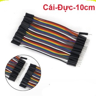 Dây Cắm ( Bus) Test Board ( 40 sợi 1 bus) ||
