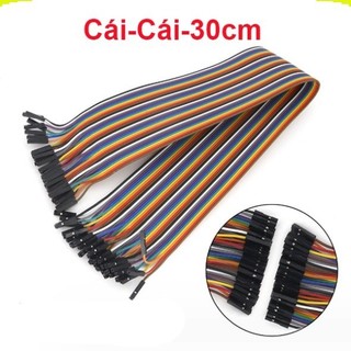 Dây Cắm ( Bus) Test Board ( 40 sợi 1 bus) ||