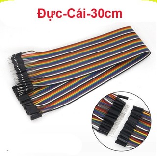 Dây Cắm ( Bus) Test Board ( 40 sợi 1 bus) ||