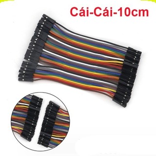 Dây Cắm ( Bus) Test Board ( 40 sợi 1 bus) ||