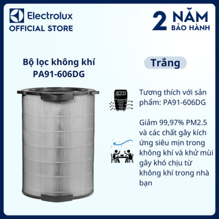 Bộ lọc không khí Electrolux PA91-606DG, Giảm 99,97% PM2.5 và các chất gây kích ứng siêu mịn trong không khí EFDCLN6