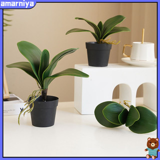 (Shop Amart) Lá Cây Lan Giả Trang Trí