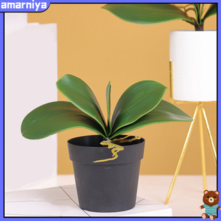(Shop Amart) Lá Cây Lan Giả Trang Trí