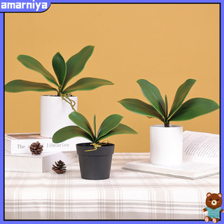(Shop Amart) Lá Cây Lan Giả Trang Trí