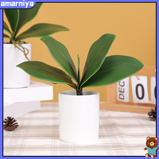(Shop Amart) Lá Cây Lan Giả Trang Trí