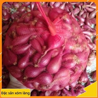 Hành tím / hành tím lý sơn / hành tím vĩnh châu 1kg