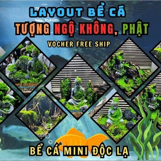   Layout setup sẵn  bể cá để bàn bể cá thủy sinh setup sẵn các kích thước bể cá mini độc lạ toktok 