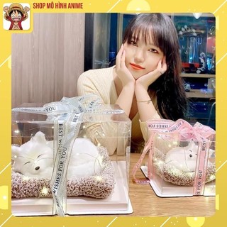Hộp Trong Suốt Thú Cưng Dễ Thương, Decor Phòng Ngủ, Quà Sinh Nhật, Quà Lưu Niệm