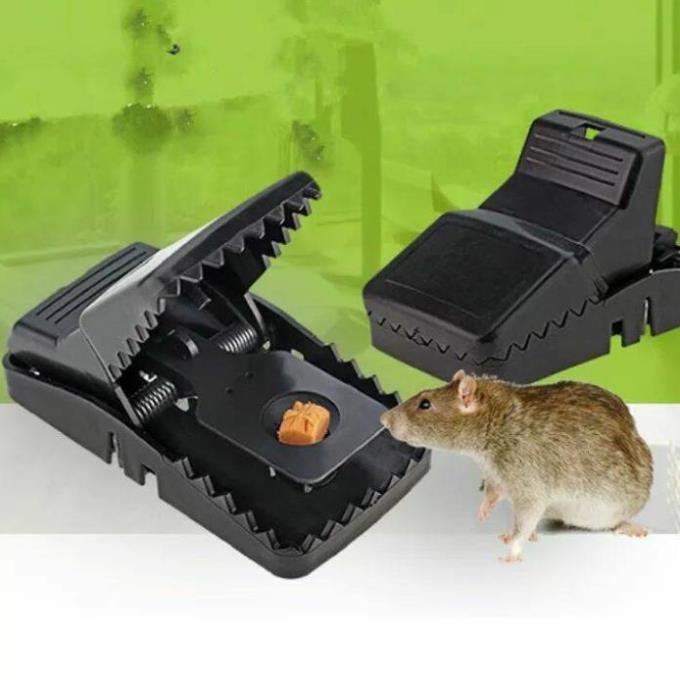 Bẫy chuột đen thông minh, an toàn, có khay để mồi