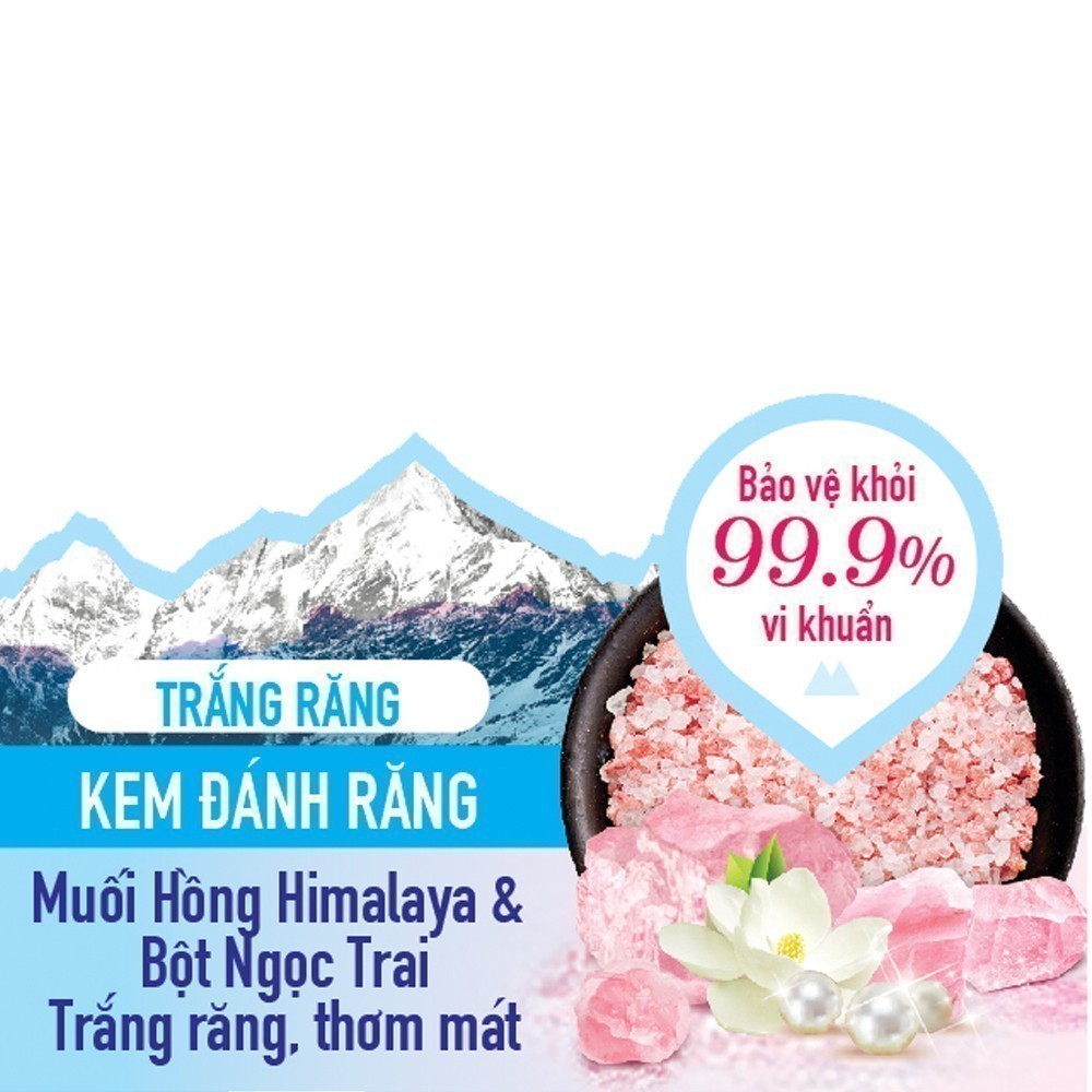 Kem đánh răng Bamboo Salt Himalaya PinkSalt- Hương Hoa Bạc Hà Trắng Răng 100g