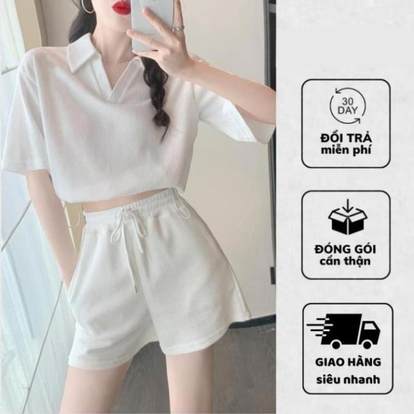 Set đồ nữ cộc tay áo croptop và quần đùi ống rộng chất liệu tăm thoáng mát AO45