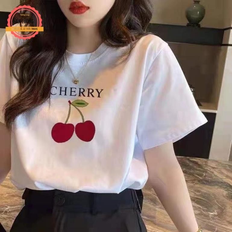 Áo THUN nữ, áo phông nữ tay ngắn cổ tròn chất cotton su co giãn 4 chiều UT