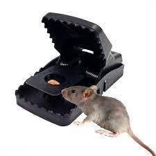 Bẫy chuộ thông minh tiện lợi, Kẹp bẫy chuột thông minh dễ sử dụng, diệt chuột hiệu quả an toàn