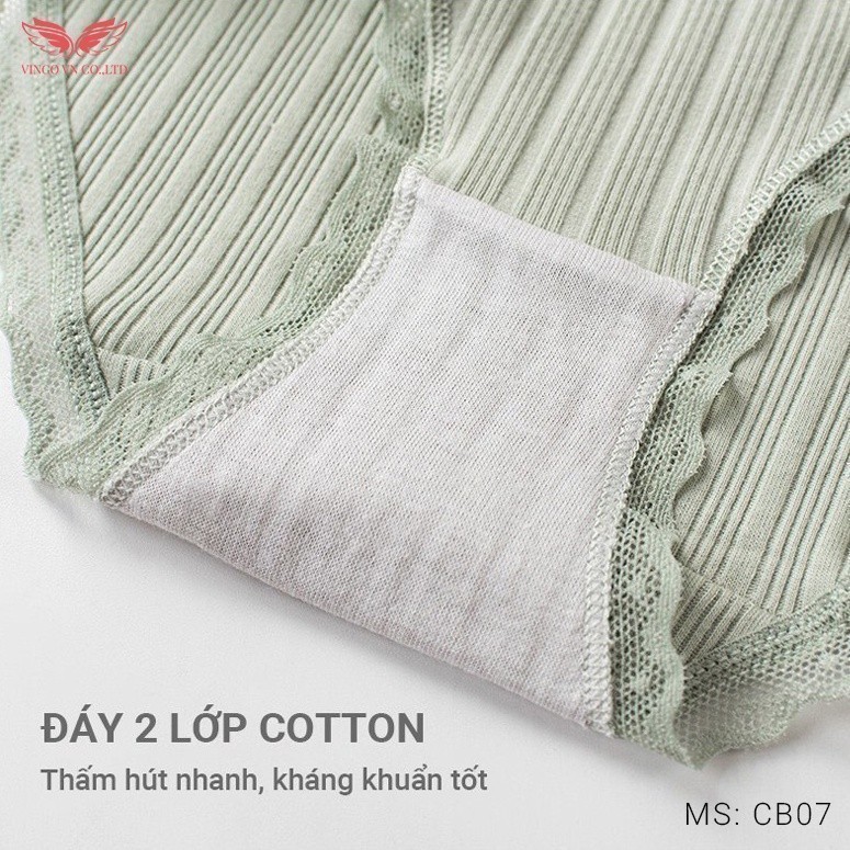 Combo 3 Quần Lót Cotton Thấm Hút Kháng Khuẩn VINGO Phối Viền Ren Mềm Mỏng Không Hằn Da Cạp Đính Nơ CB07 VNGO