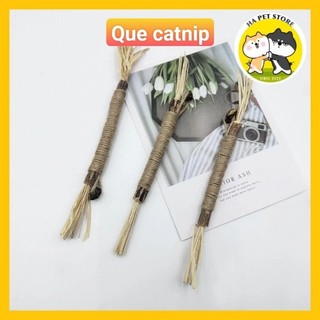 Que catnip khô, que cỏ mèo,cỏ bạc hà khô giúp mèo mài răng giảm stress