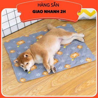 [ HÀNG SẴN - GIAO NHANH 2H ] Đệm gel nước làm mát cho chó mèo cao cấp
