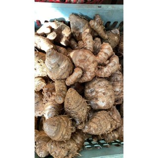 Ngải chống độc củ cái 2kg