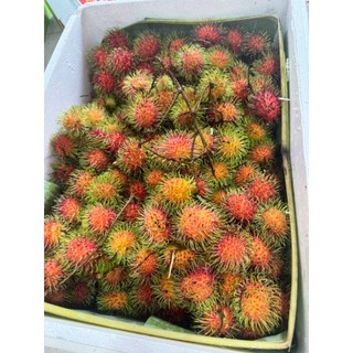 ( JENNY FRUIT ) Chôm chôm thái hàng nhập 1kg
