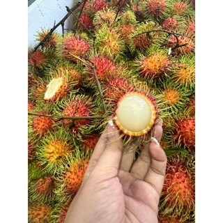 ( JENNY FRUIT ) Chôm chôm thái hàng nhập 1kg