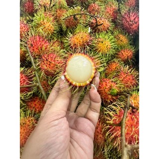 ( JENNY FRUIT ) Chôm chôm thái hàng nhập 1kg