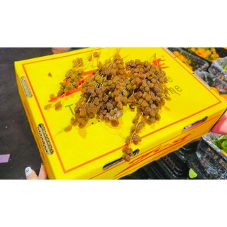 Nho khô úc nguyên cành 500gr