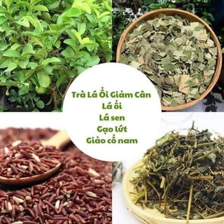 Trà lá ổi giảm cân