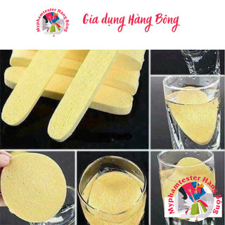 Túi 12 miếng rửa mặt bọt biển