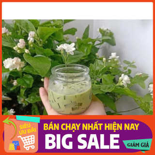 Combo 6 Hũ Thủy Tinh Làm Sữa Chua Có Nắp Đậy Cao Cấp - Lọ Thủy Tinh Chứa Sữa Chua Dẻo Tiện Lợi