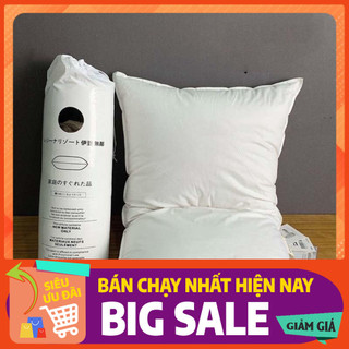 Ruột gối hơi kháng khuẩn size 40*60cm