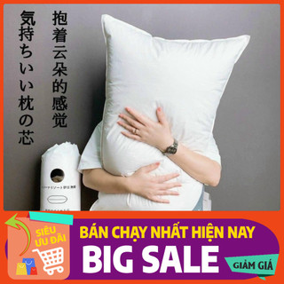 Ruột gối hơi kháng khuẩn size 40*60cm