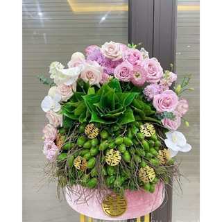 Mâm Quả Cưới bọc nhung hồng trơn
