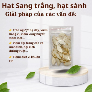Hạt Sang trắng, hạt sành - Khắc tinh của dạ dày, đại tràng, HP