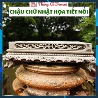 Chậu cảnh chữ nhật - trồng cây bonsai họa tiết nổi