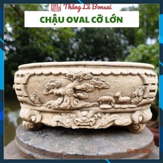 Chậu cảnh ova cỡ to - họa tiết nổi trồng cây bonsai