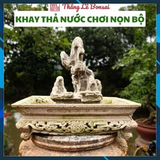 Chậu cảnh thả nước - chơi tiểu cảnh trồng cây bonsai