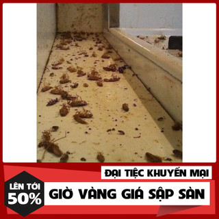 Thuốc diệt kiến gián( combo 5 lọ)