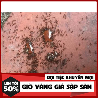 Thuốc diệt kiến gián( combo 5 lọ)
