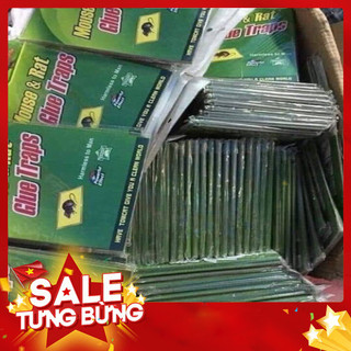 Combo 3 miếng dán bẫy chuột