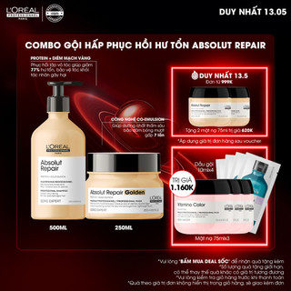 Combo Dầu Gội 500ml và Mặt Nạ 250ml phục hồi hư tổn toàn diện Serie Expert Absolut Repair