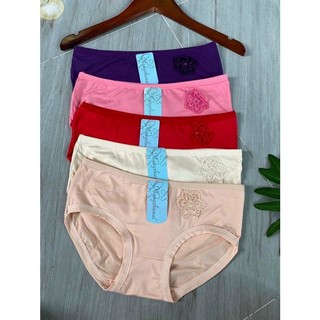 Combo 05 quần lót nữ thun cotton cao cấp, size 50-65kg